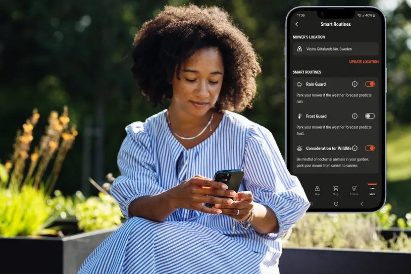 tb-819647.webp (65 KB)
